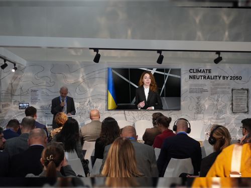 Частка ВДЕ у виробництві електроенергії має сягнути 32% до 2050 року: На COP29 презентували перші регіональні дослідження Міжнародного агентство з відновлюваної енергетики